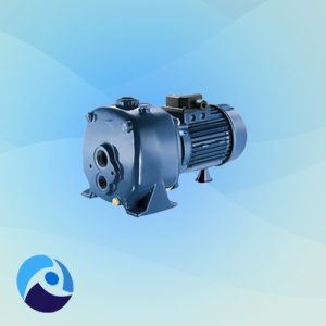 پمپ خودمکش سانتریفوژ پنتاکس AP75، دارای اجکتور خارجی، قابلیت پمپاژ آب مخلوط با گاز، برای مصارف خانگی، باغبانی و مکش از چاه کاربرد دارد.پمپ خودمکش دولول پنتاکس مدل AP100