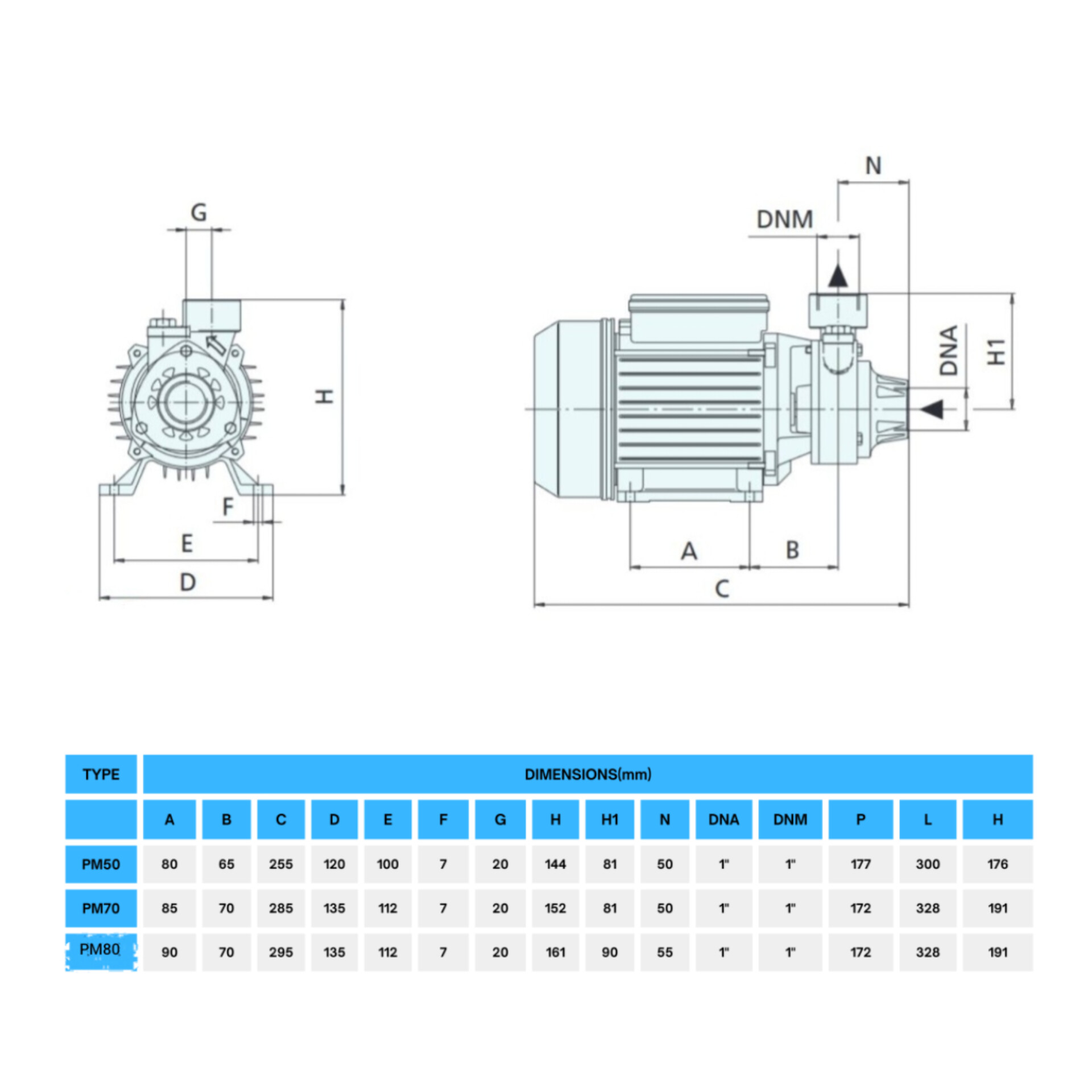 PM SHEMA ابعاد و شماتیک فنی پمپ آب محیطی ورتکس (WORTEX) مدل PM 50