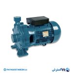 پمپ بشقابی 3 اسب تک پروانه ایتالیایی ورتکس (WORTEX) مدل CT 300 پایا گسترش