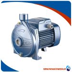 پمپ آب بشقابی پدرولو